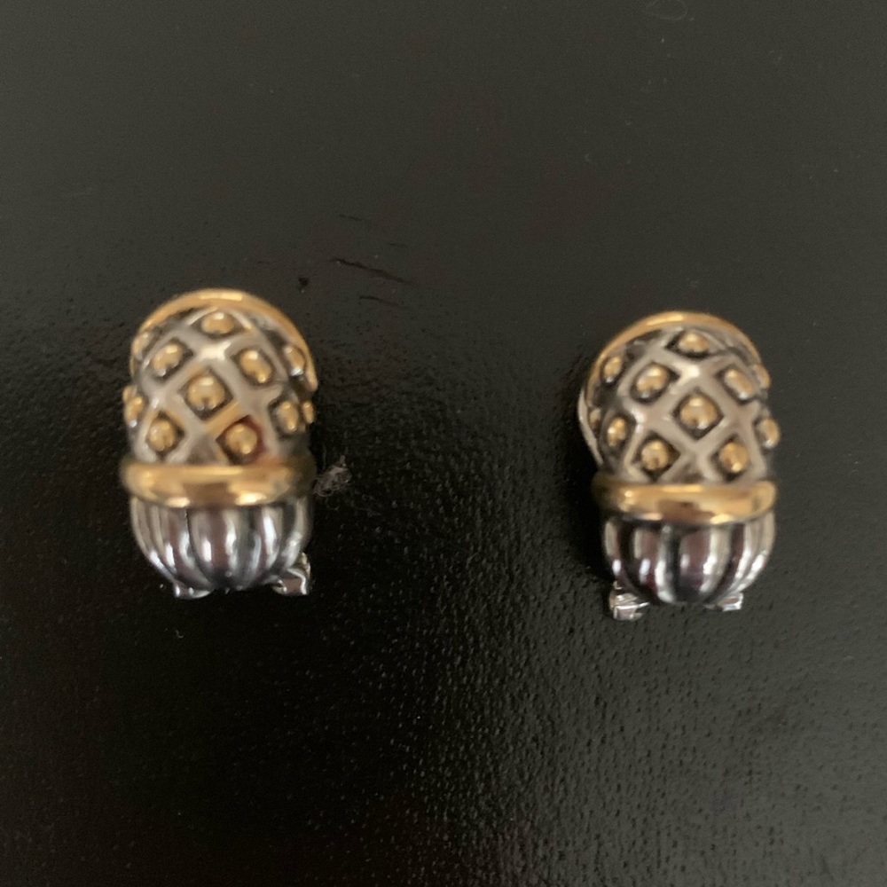 Silver/gold tone pierced earrings